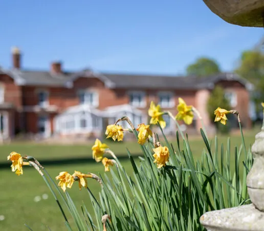Sotwell Hill House flowers